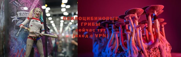 твердый Волоколамск