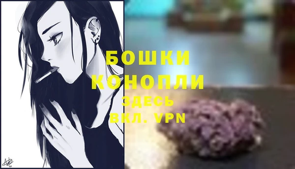 твердый Волоколамск